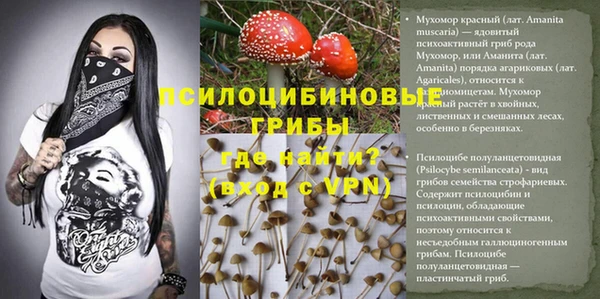 твердый Богданович