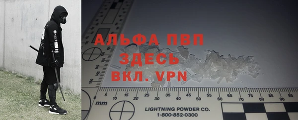 твердый Богданович