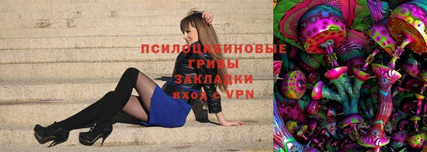 твердый Богданович