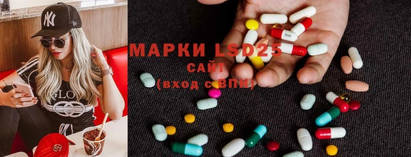 твердый Богданович