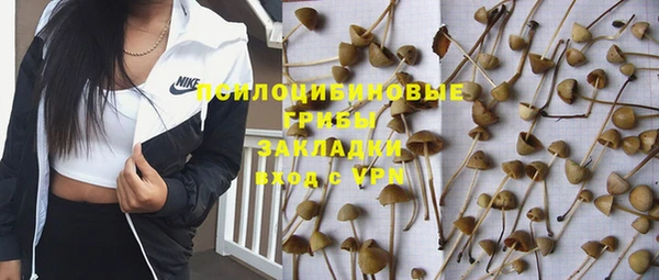 твердый Богданович