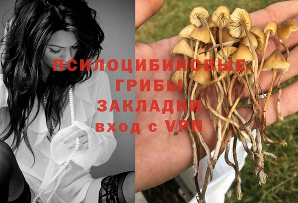 наркотики Богородицк