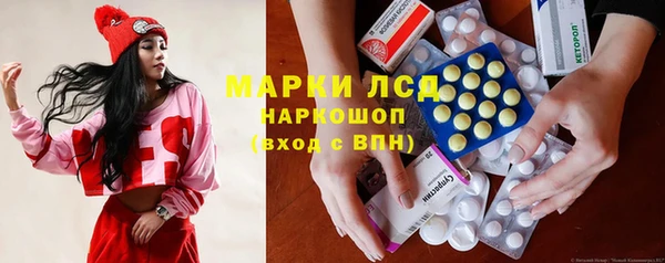 твердый Богданович