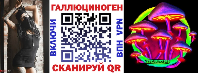Купить закладки Комсомольск Псилоцибиновые грибы Cubensis